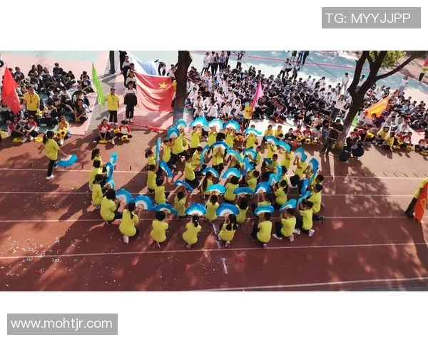 专访张芳：探寻排球背后的成功秘诀与奋斗历程