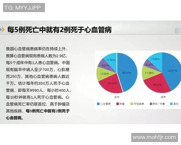 中国南方足球人才匮乏的深层原因探讨与发展对策分析
